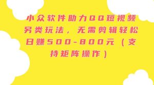 小众软件助力QQ短视频另类玩法，无需剪辑轻松日赚500-800元（支持矩阵…-星河网创
