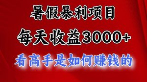 暑假暴利项目，每天收益3000+ 努努力能达到5000+，暑假大流量来了-星河网创