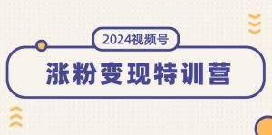 2024视频号-涨粉变现特训营：一站式打造稳定视频号涨粉变现模式（10节）-星河网创