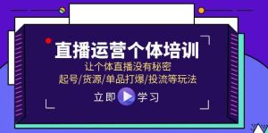 直播运营个体培训，让个体直播没有秘密，起号/货源/单品打爆/投流等玩法-星河网创