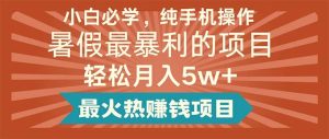 小白必学，纯手机操作，暑假最暴利的项目轻松月入5w+最火热赚钱项目-星河网创