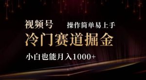 2024视频号冷门赛道掘金,操作简单轻松上手,小白也能月入1000+-星河网创