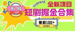 短剧掘金合集2.0  无门槛没成本 有手就行 单机100+-星河网创