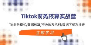 Tiktok财务核算实战营：TK业务模式/数据核算/应收款及毛利/数据下载及报表-星河网创