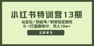 小红书特训营13期，从定位/到起号/到变现全路径，0-1打造赚钱IP，月入10w+-星河网创