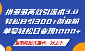 拼多多店铺引流技术3.0，日引300+付费创业粉，单号轻松日变现1000+-星河网创