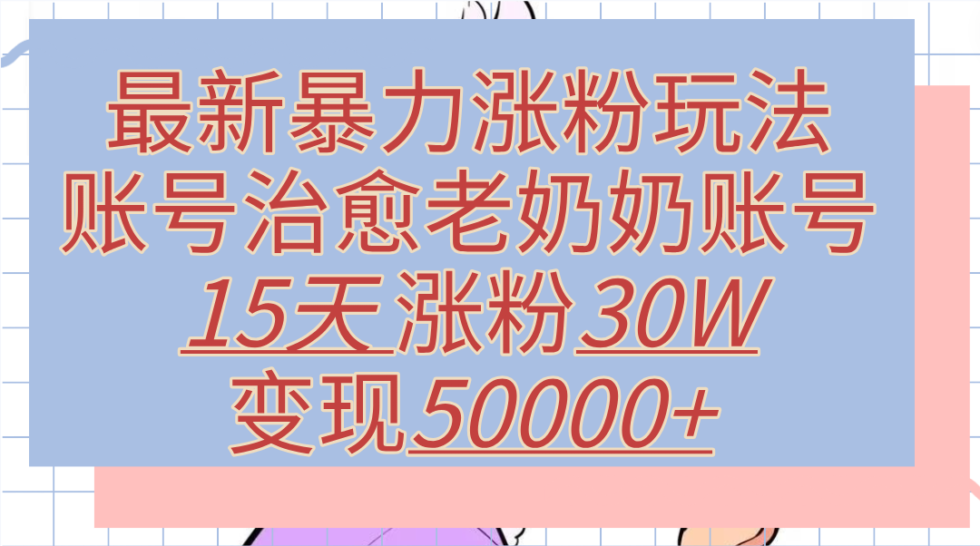 最新暴力涨粉玩法，治愈老奶奶账号，15天涨粉30W，变现50000+【揭秘】-星河网创