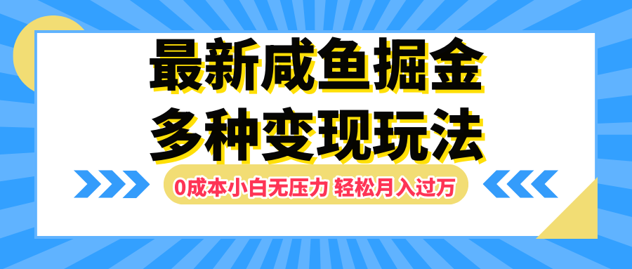 最新咸鱼掘金玩法，更新玩法，0成本小白无压力，多种变现轻松月入过万-星河网创