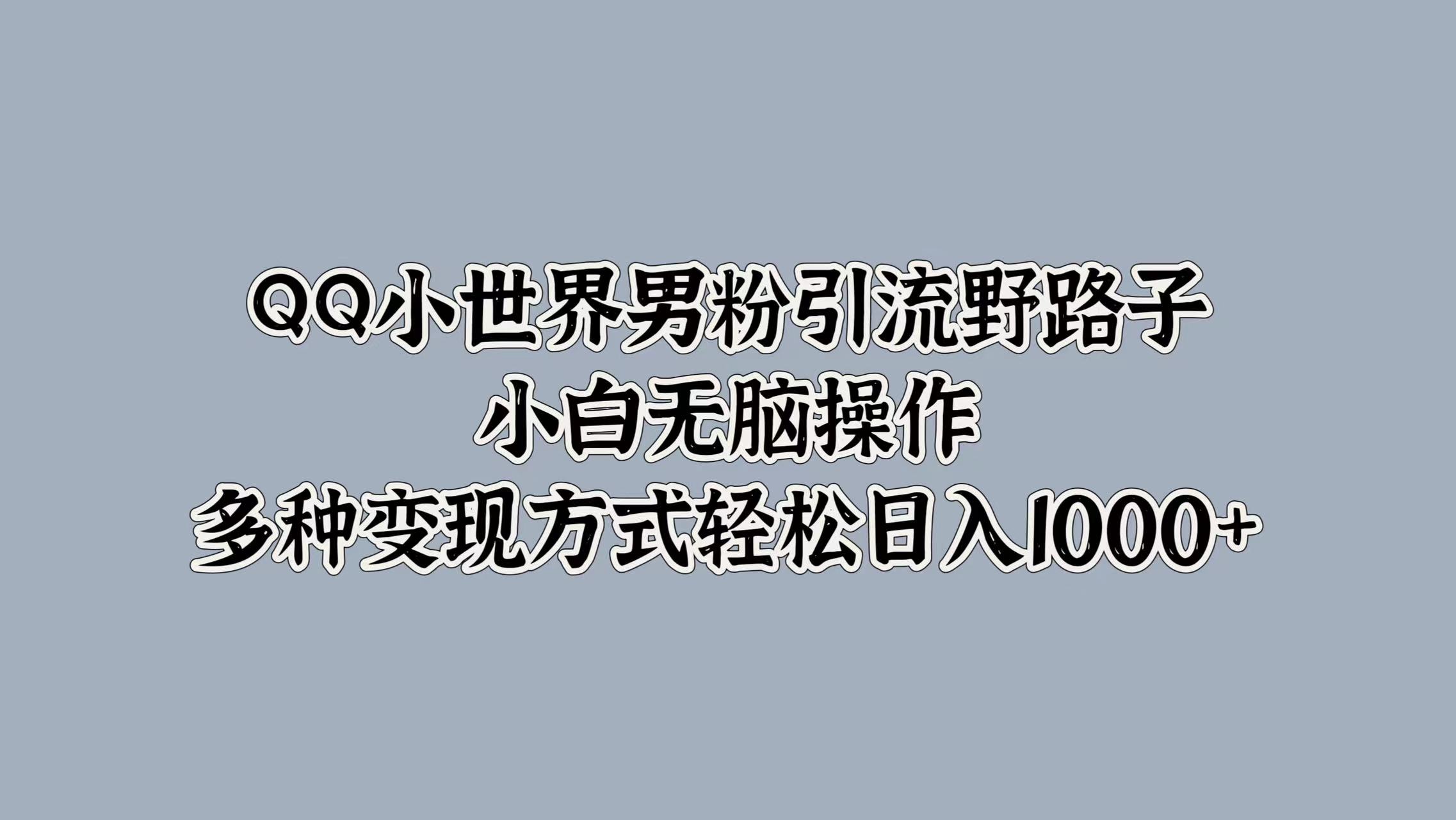 QQ小世界男粉引流野路子，小白无脑操作，多种变现方式轻松日入1000+-星河网创