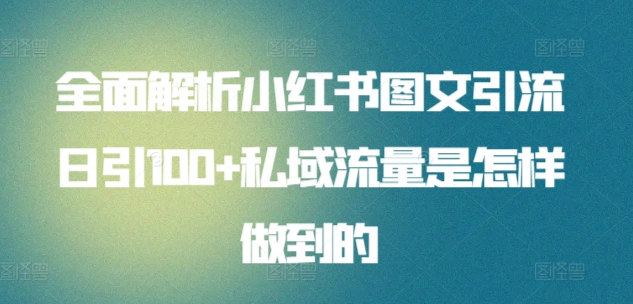暴力引流 小红书图文引流日引100私域全面拆解【打粉人必看】-星河网创