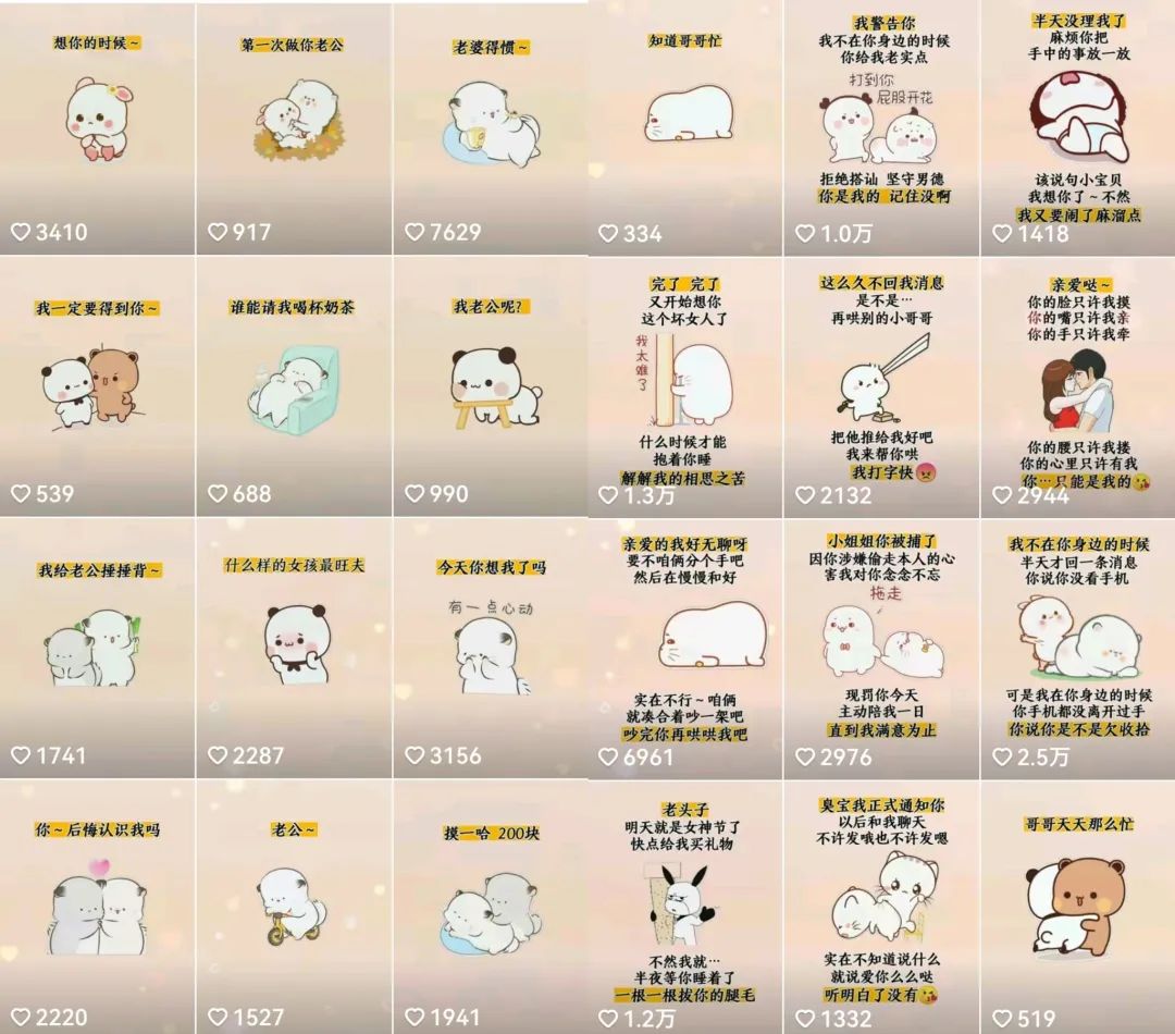 抖音表情包小程序变现项目，一条龙玩法详细大解析，视频版学习-星河网创