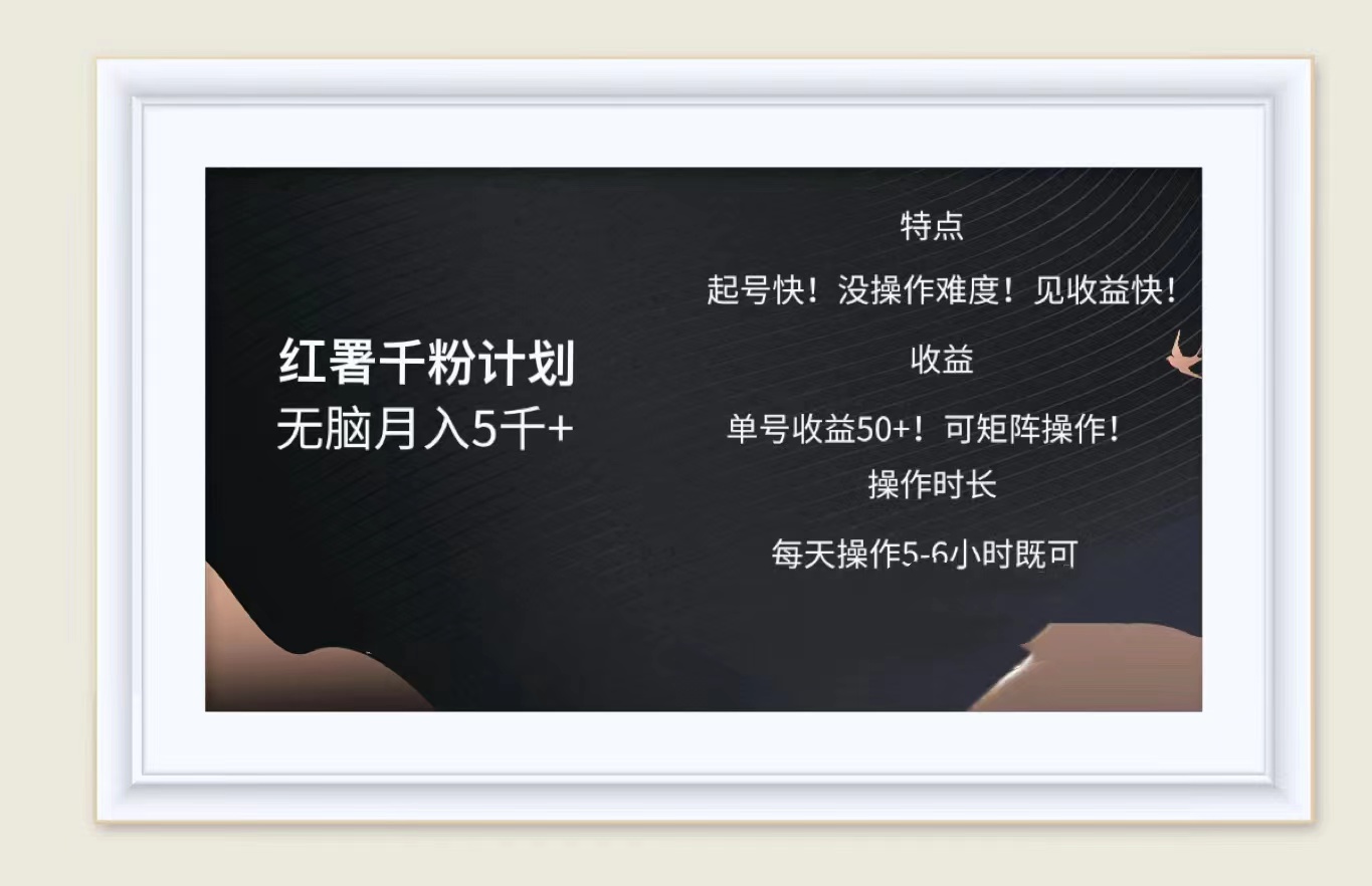 红薯千粉计划无脑月入5千➕！既做既赚！-星河网创