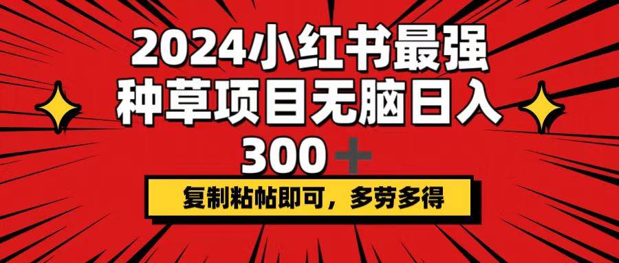 2024小红书最强种草项目，无脑日入300+，复制粘帖即可，多劳多得-星河网创
