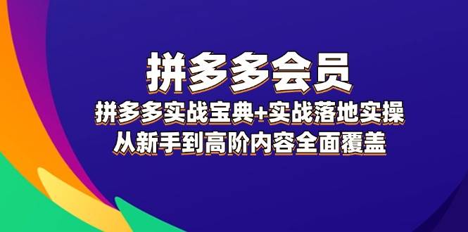 拼多多 会员，拼多多实战宝典+实战落地实操，从新手到高阶内容全面覆盖-星河网创