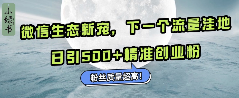 微信生态新宠小绿书：下一个流量洼地，粉丝质量超高，日引500+精准创业粉，-星河网创