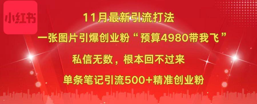 小红书11月最新图片打法，一张图片引爆创业粉“预算4980带我飞”，私信无数，根本回不过来，单条笔记引流500+精准创业粉-星河网创