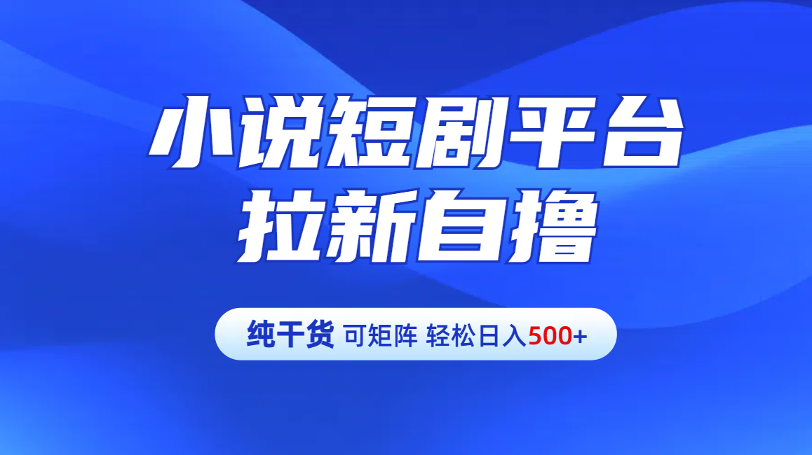 【纯干货】小说短剧平台拉新自撸玩法详解-单人轻松日入500+-星河网创