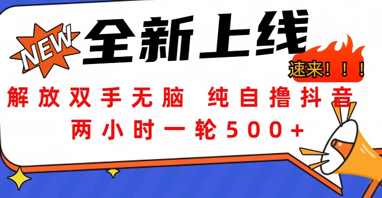 解放双手无脑 纯自撸抖音 两小时一轮500+-星河网创