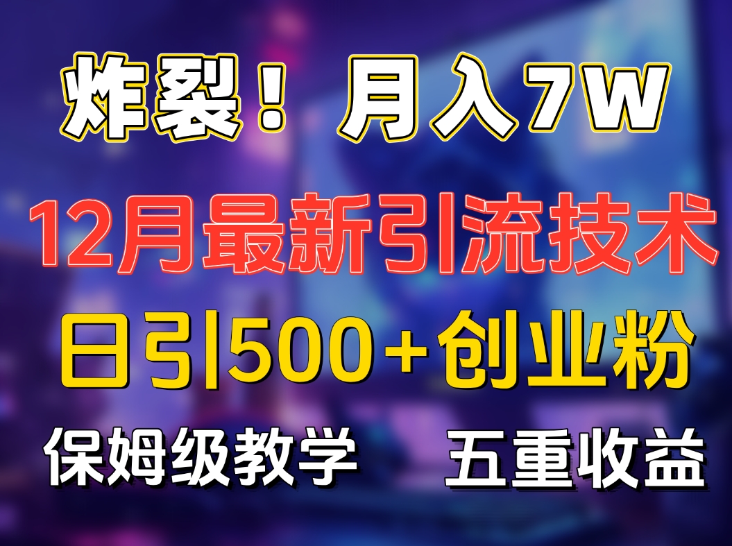 炸裂！月入7W+揭秘12月最新日引流500+精准创业粉，多重收益保姆级教学-星河网创