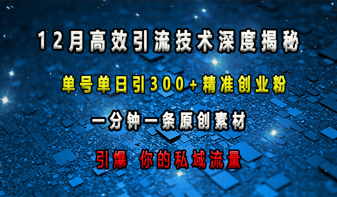 12月高效引流技术深度揭秘 ，单号单日引300+精准创业粉，一分钟一条原创素材，引爆你的私域流量-星河网创