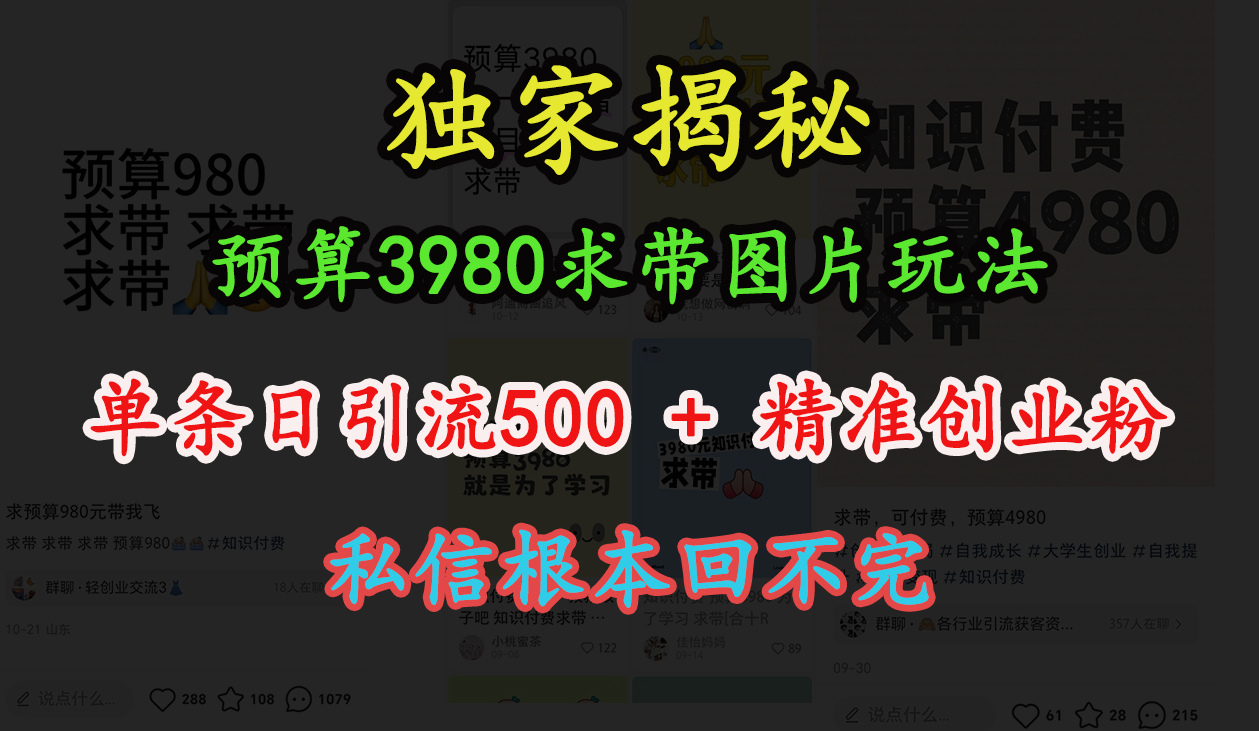 “小红书”预算3980求带 图片玩法，单条日引流500+精准创业粉，私信根本回不完-星河网创
