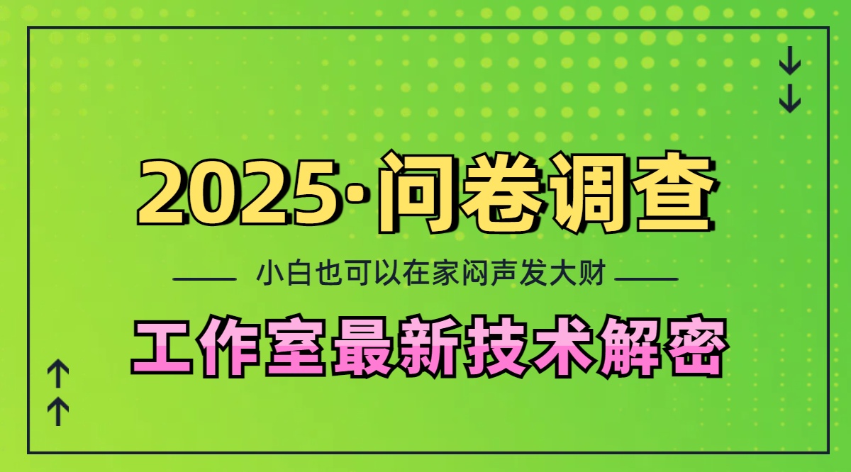2025《问卷调查》最新工作室技术解密：一个人在家也可以闷声发大财，小白一天200+，可矩阵放大-星河网创