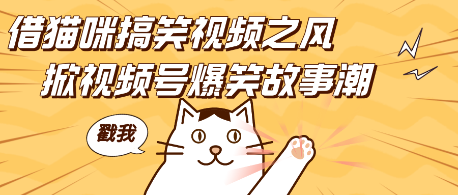借猫咪搞笑视频之风,掀视频号爆笑故事潮,轻松日赚四位数,开启无门槛赚钱新体验!-星河网创