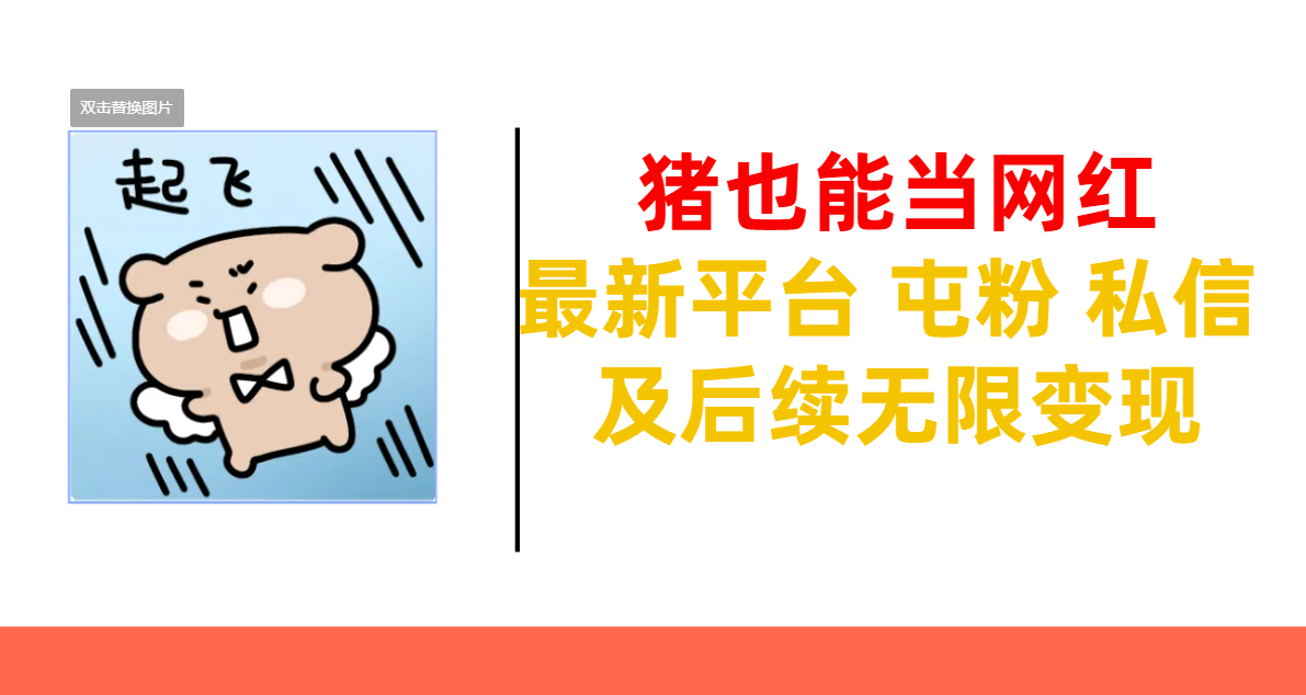 猪也能当网红-最新平台 屯粉 交流 私信 及后续无限变现-星河网创