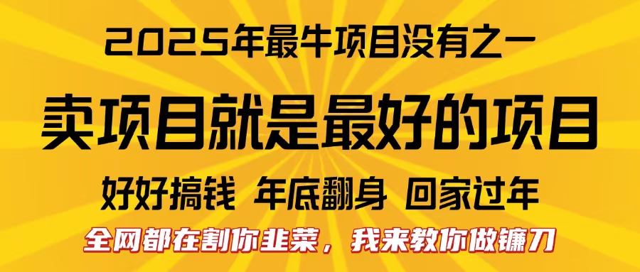 全网都在割你韭菜，我来教你做镰刀。卖项目就是最好的项目，2025年最牛互联网项目-星河网创