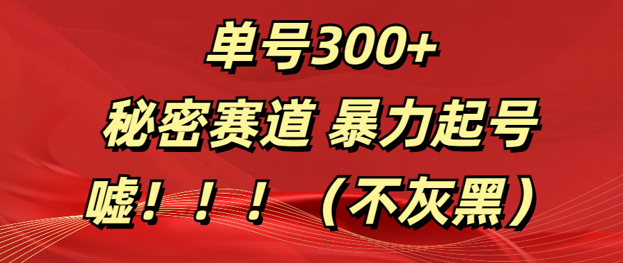 单号300+  秘密赛道 暴力起号  （不灰黑）-星河网创
