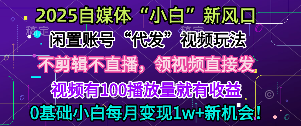 2025每月躺赚5w+新机会,闲置视频账号一键代发玩法,0粉不实名不剪辑,领了视频直接发,0基础小白也能日入300+-星河网创