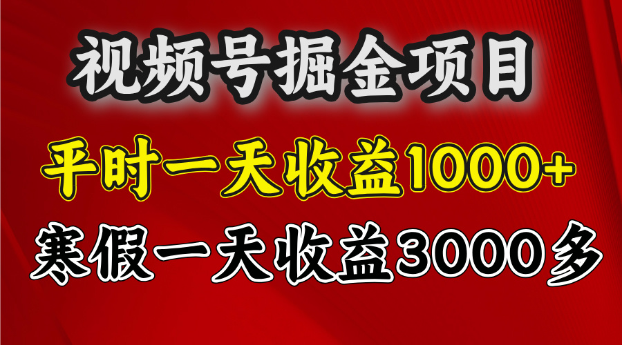 视频号掘金项目，寒假一天收益3000多-星河网创