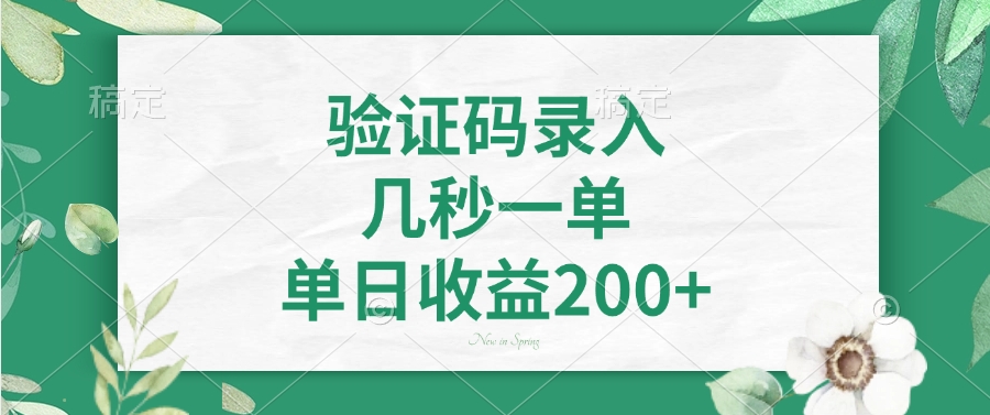 验证码录入，几秒一单，单日收益200+-星河网创