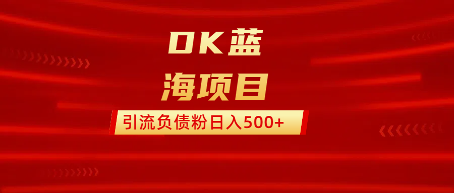 DK蓝海项目  通过，抖音，快手，小红书，引流负债粉日入500+-星河网创