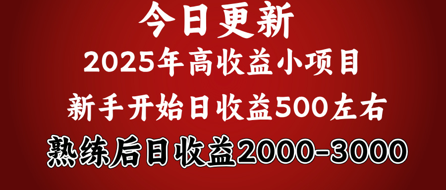 好项目一眼就能看出来,日收益1000,长久可做,2025拼的就是我比你勤奋-星河网创