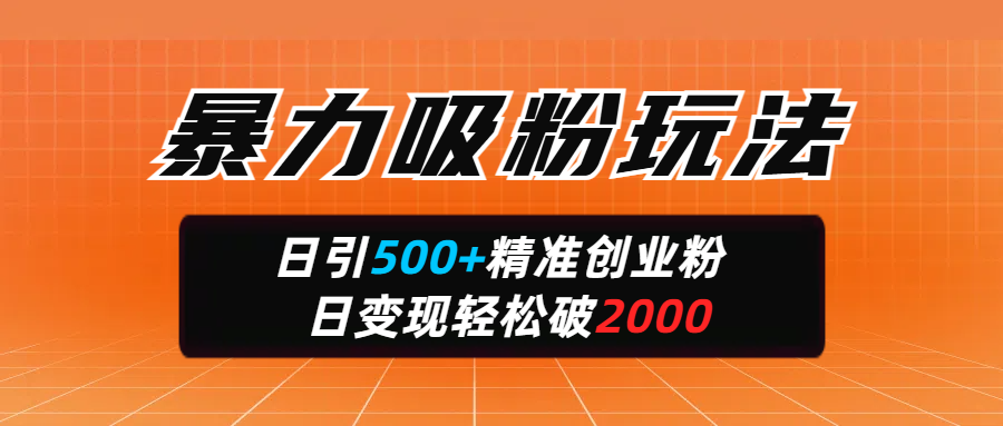 暴力吸粉玩法，日引500+精准创业粉，日变现轻松破2000-星河网创