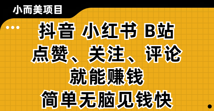 小而美的项目，抖音、小红书、B站视频点赞、关注、评论就能赚钱，简单无脑立见收益！妥妥的零撸项目-星河网创