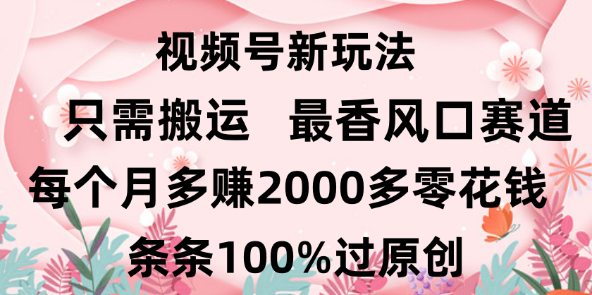 日入2000+，条条100%过原创，视频号最香风口赛道，小白轻松上手-星河网创