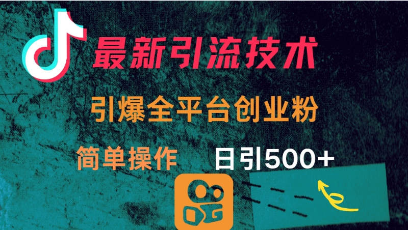 最新引流方法，引爆全平台创业粉操作简单，日引300＋-星河网创