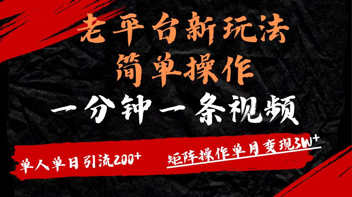老平台，新玩法，简单操作，一分钟一条视频，单人单人引流200+矩阵操作，单月变现3W-星河网创