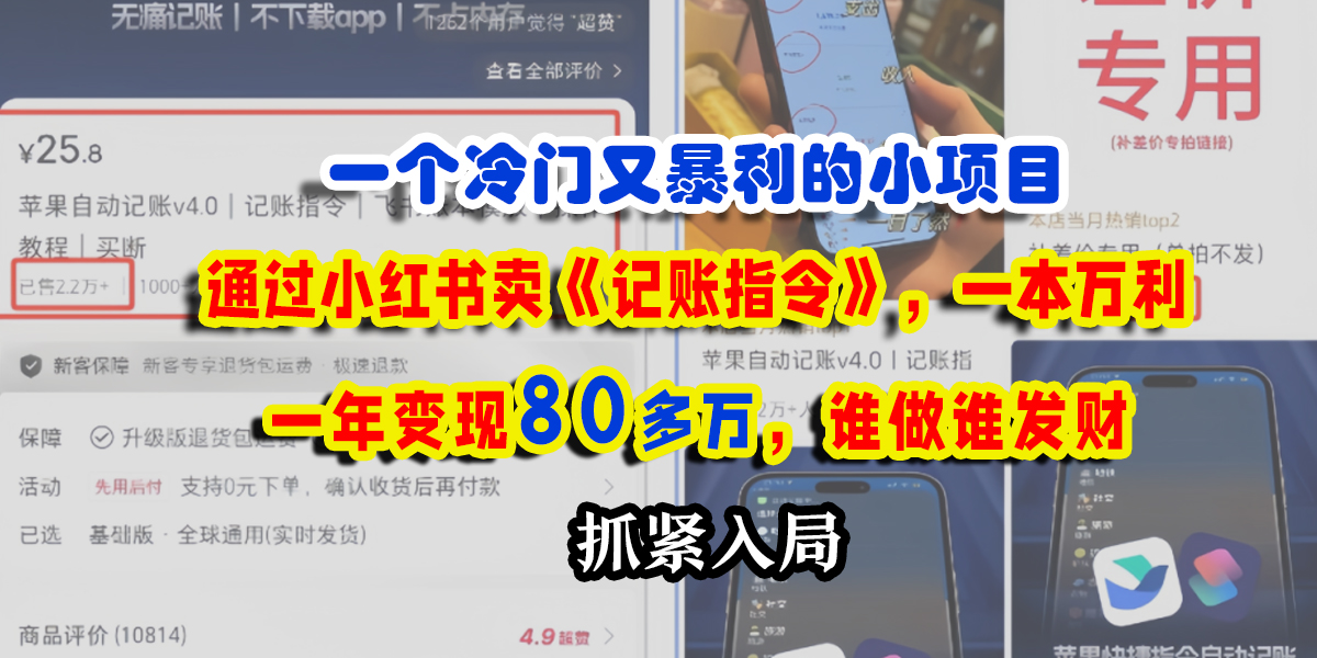 一个冷门又暴利的小项目，通过小红书卖《记账指令》，一本万利，一年变现80多万，谁做谁发财-星河网创
