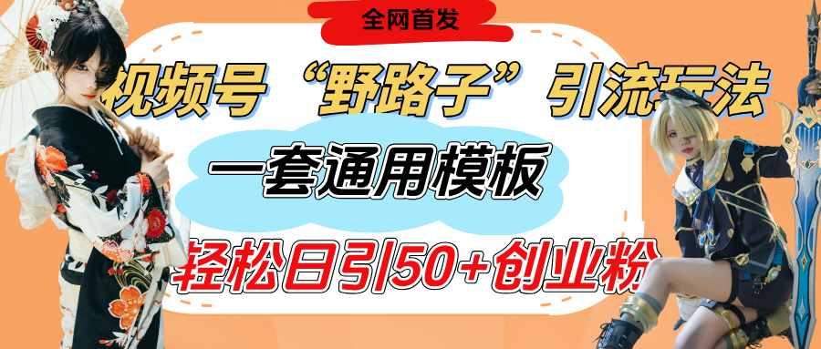 视频号“野路子”玩法，评论区疯狂截流，一套模板单日单号引流50+创业粉-星河网创
