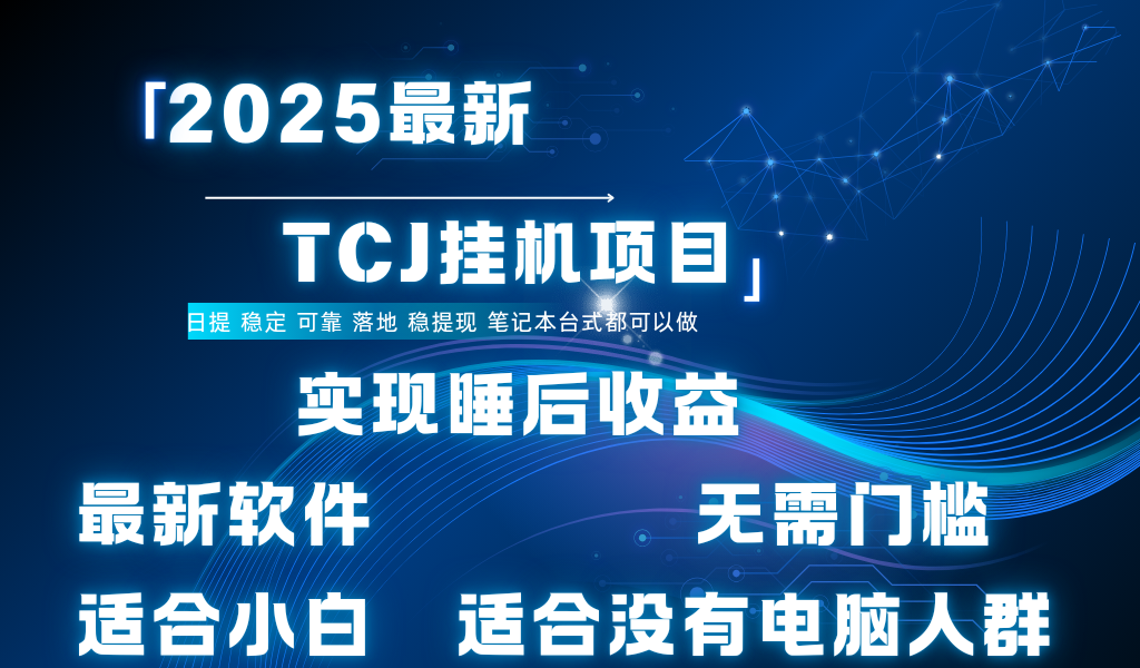 最新海外TCJ无门槛美金项目可矩阵放大操作 单日可达400+日提-星河网创