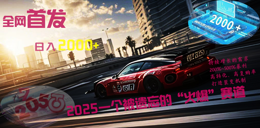 全网首发:2025一个被遗忘的“火爆”赛道轻松日入2000+-星河网创