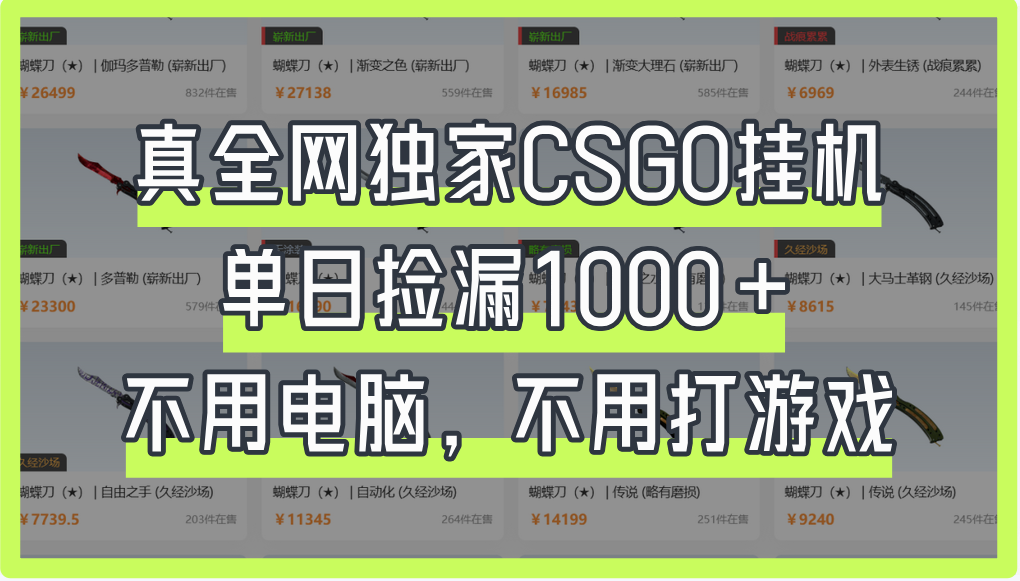 真全网独家CSGO挂机，单日捡漏1000+-星河网创