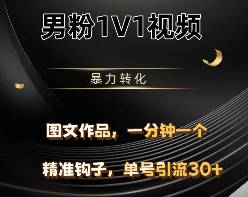 男粉1V1视频，硬改摄像头，高客单暴力转化，单日600+-星河网创