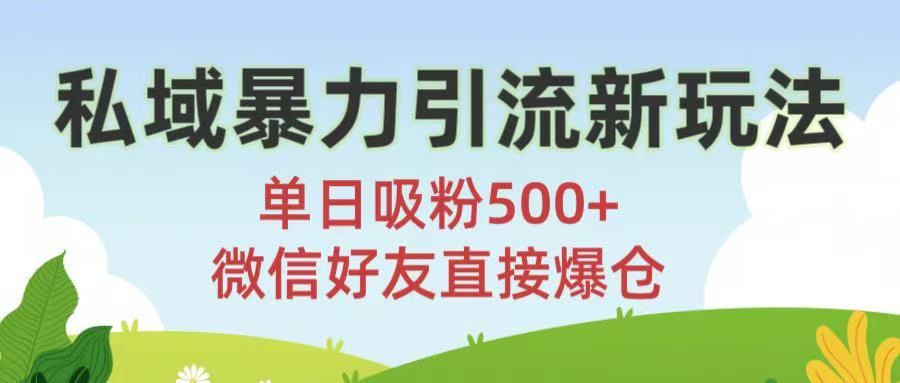 私域暴力引流新玩法!单日吸粉500+，微信好友直接爆仓-星河网创