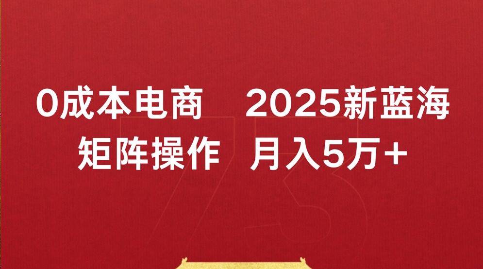 0成本电商2025新蓝海矩阵操作 月入5万+-星河网创