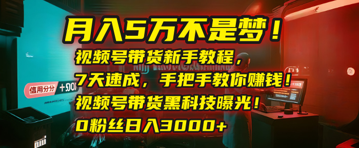 月入5万不是梦！视频号带货新手教程，7天速成，手把手教你赚钱！视频号带货黑科技曝光！0粉丝日入3000+-星河网创