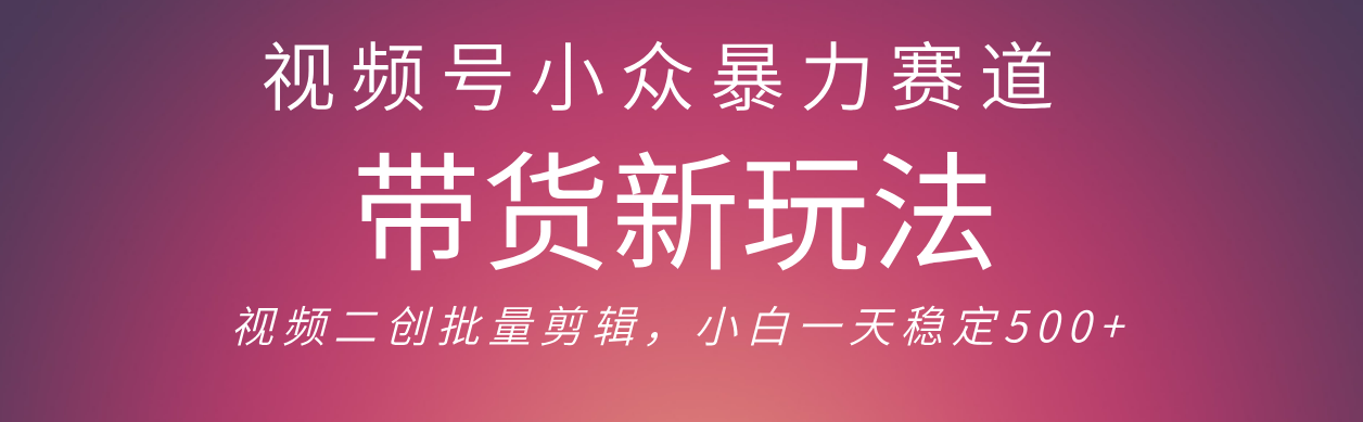 视频号小众暴力赛道，最新带货玩法 小白也能轻松日入500+ 保姆及教程-星河网创